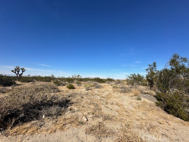 0 E Palmdale Boulevard Property Photo 12