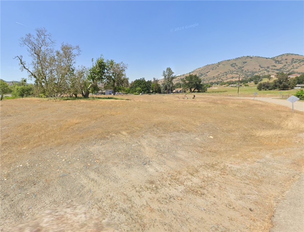 0 Live Oak Expressway Property Photo