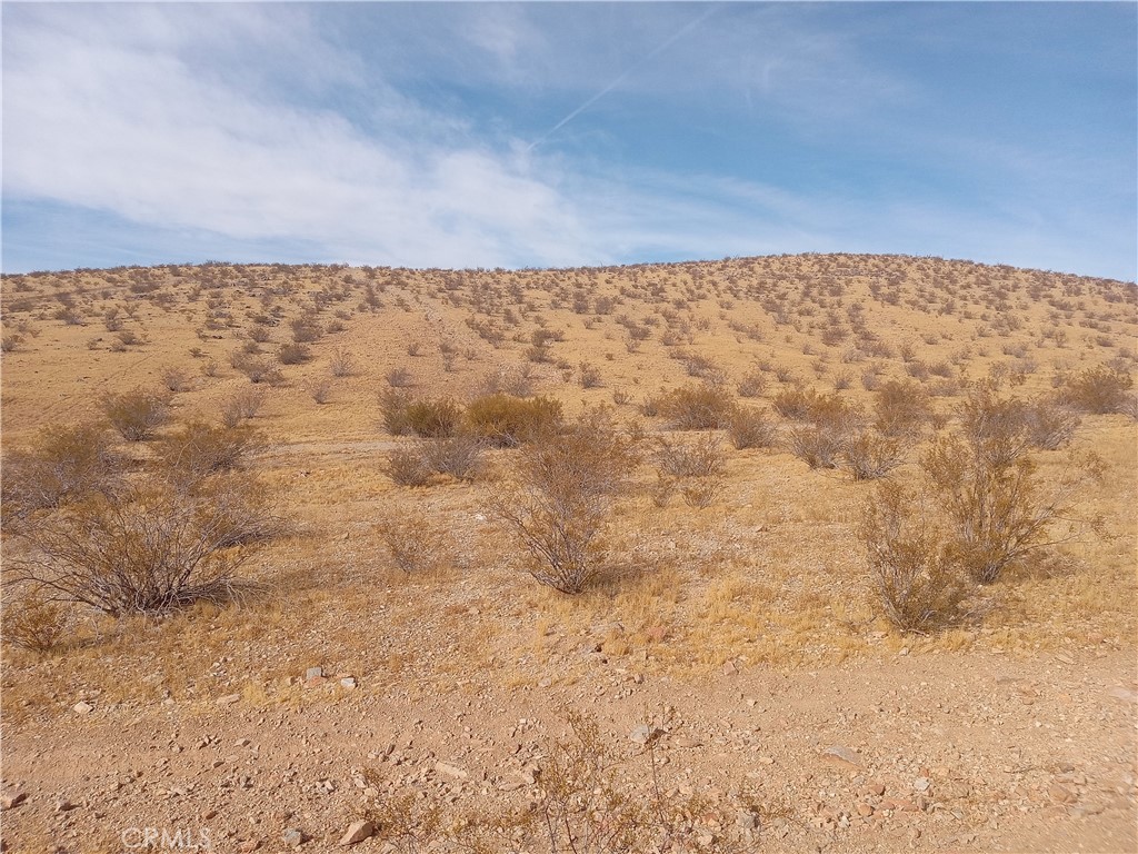 0 Vacant Land Property Photo 1