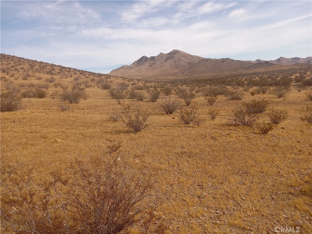 0 Vacant Land Property Photo 3