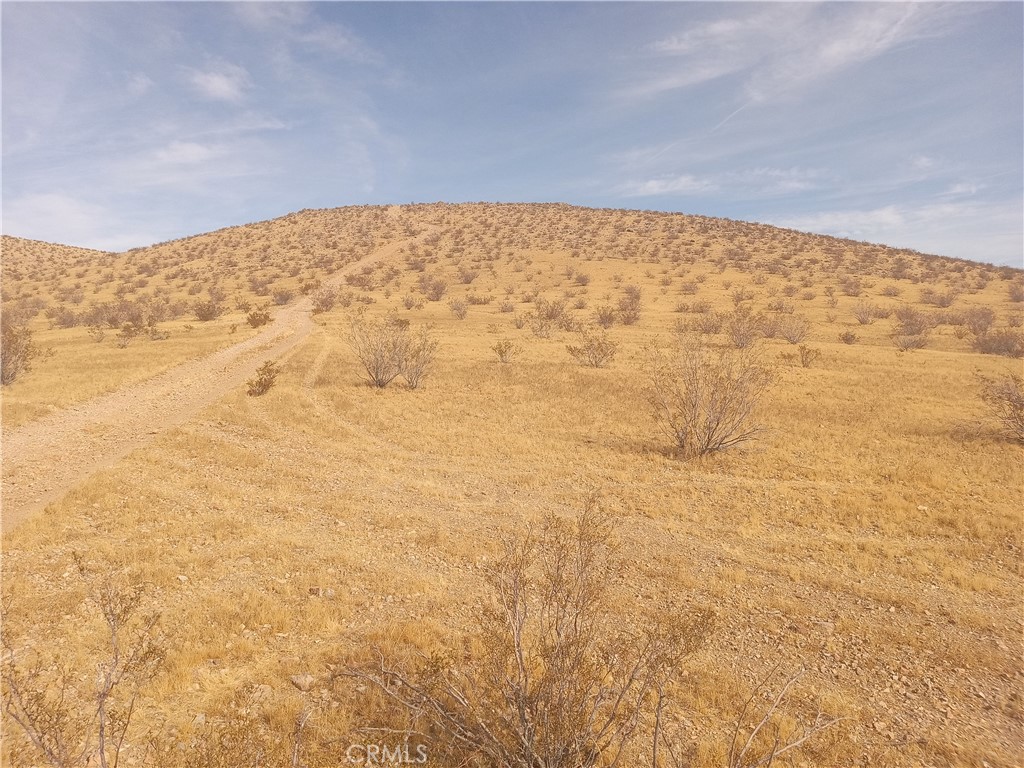 0 Vacant Land Property Photo 4