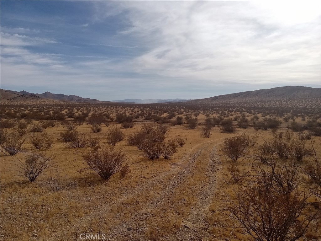 0 Vacant Land Property Photo 5