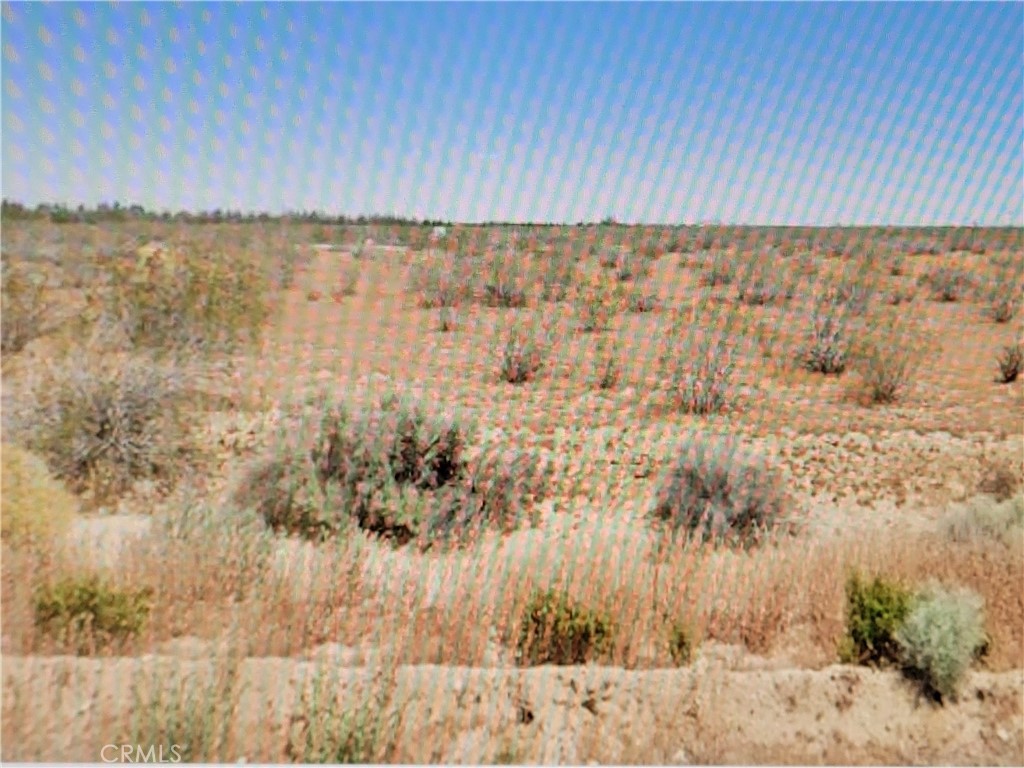 0 116th Street Property Photo 3