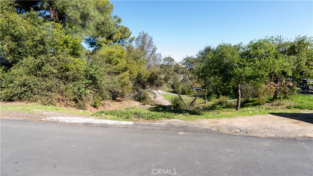 0 Clover Trail Property Photo 1