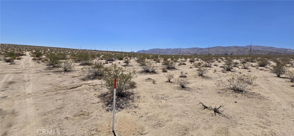 70100 2 Mile Road Property Photo 4