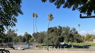3943 Ridge Road Property Photo 22
