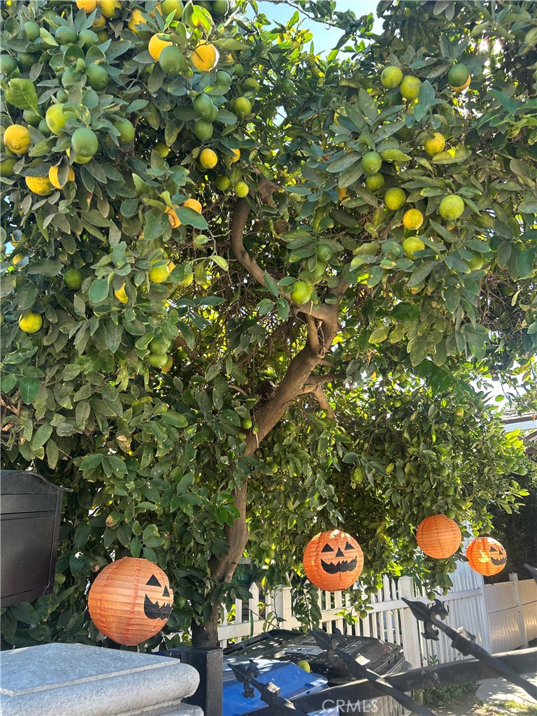 222 W 87th Property Photo 5