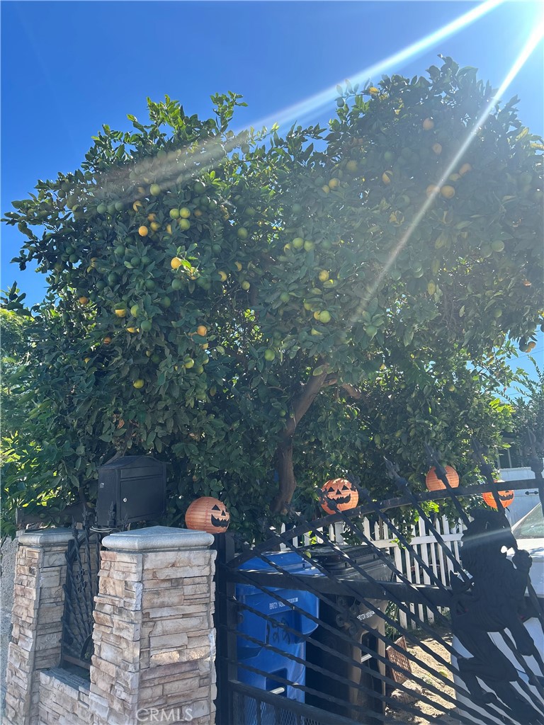 222 W 87th Property Photo 6