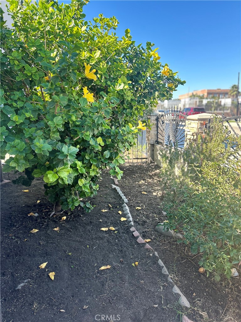 222 W 87th Property Photo 7