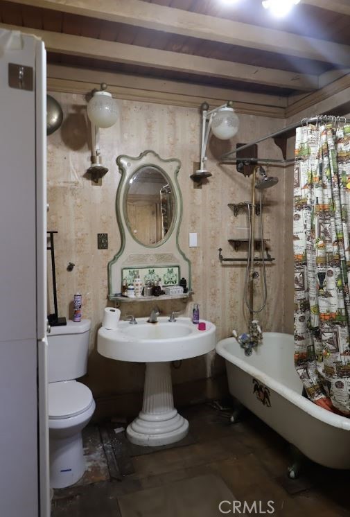 209 Carlton Property Photo 3