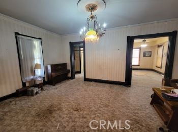 209 Carlton Property Photo 5