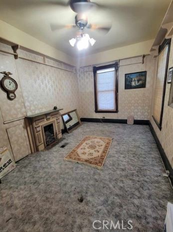 209 Carlton Property Photo 8