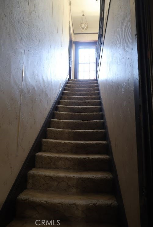 209 Carlton Property Photo 15