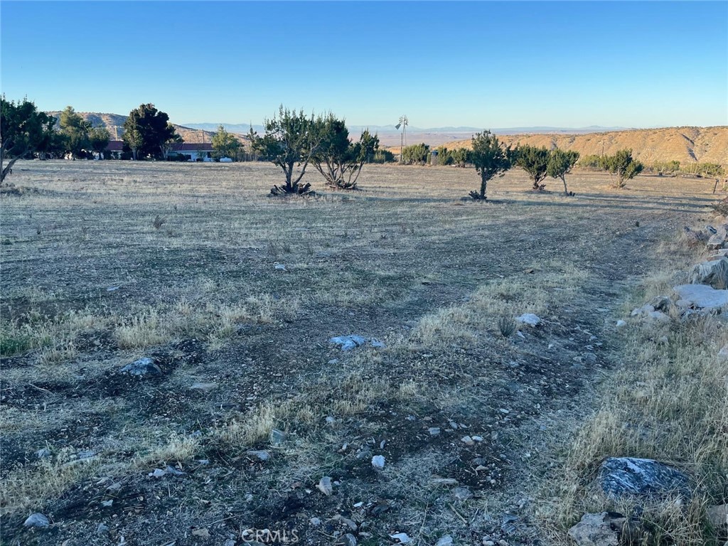 0 Vac/longview Rd/vic Murphys Road Property Photo 13