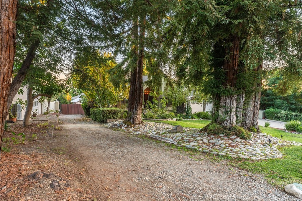 2420 San Antonio E Property Photo 5