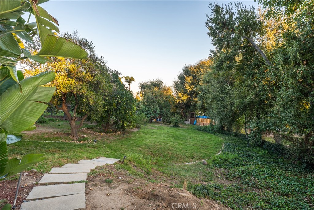 2420 San Antonio E Property Photo 66