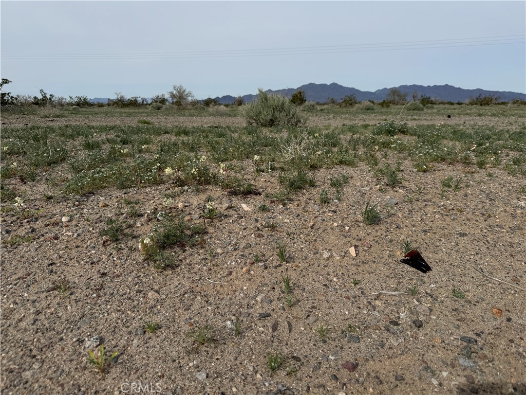 0 Chuckwalla Valley Rd. Property Photo 5