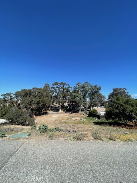 0 Stevens Avenue Property Photo 4