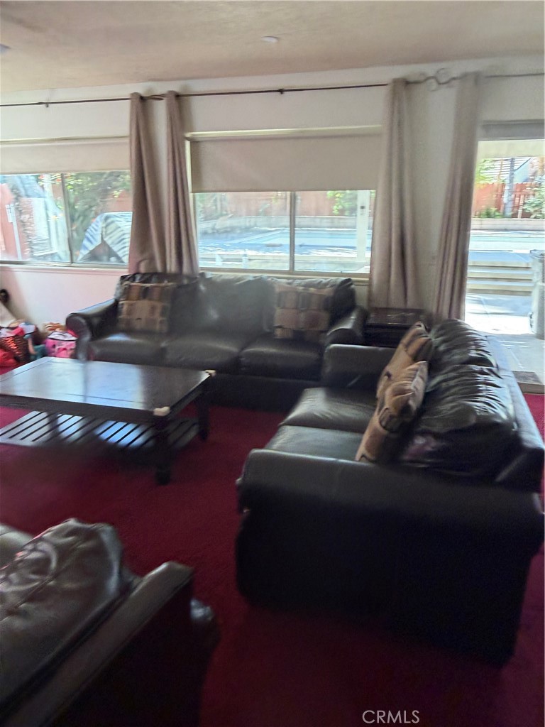 12059 Palm Vista St Property Photo 5