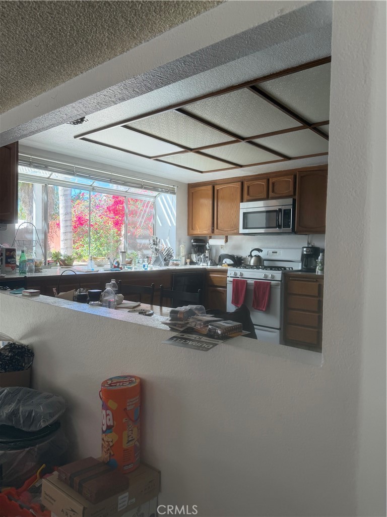 12059 Palm Vista St Property Photo 8