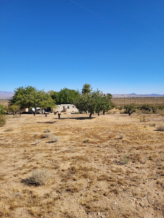 0 Midway Property Photo 8