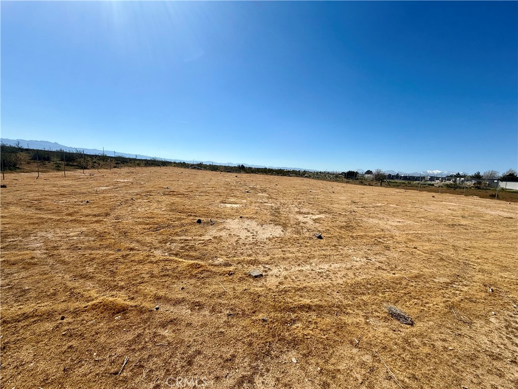 1 Lemon Property Photo 2