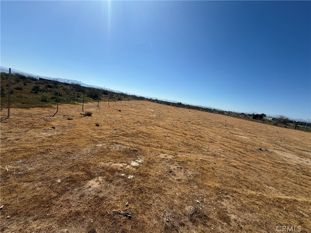 1 Lemon Property Photo 5