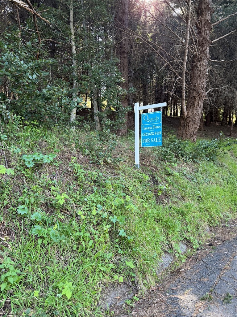 767 Spring Road Property Photo 1