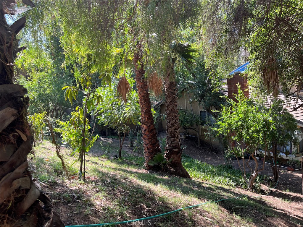 1020 Catlin Property Photo 19