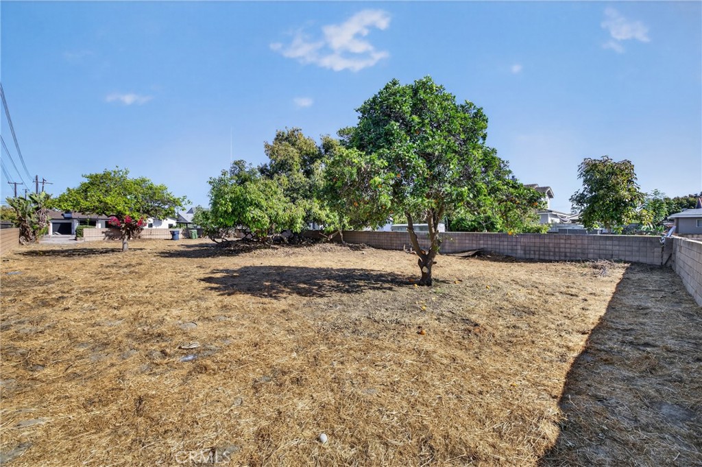 15529 Cornuta Property Photo 46