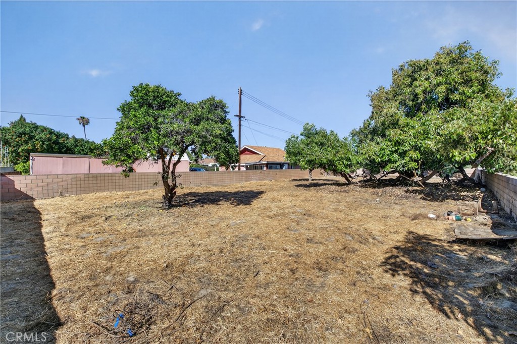 15529 Cornuta Property Photo 47