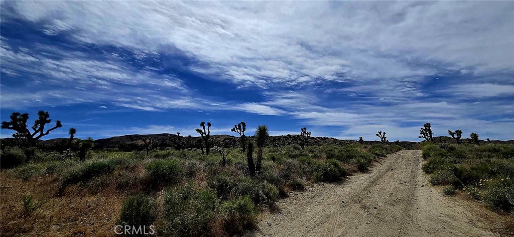 8900 Bainard Canyon Road Property Photo 3
