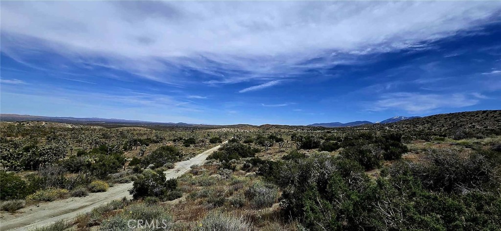 8900 Bainard Canyon Road Property Photo 4