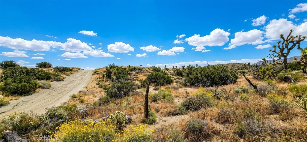 8900 Bainard Canyon Road Property Photo 4