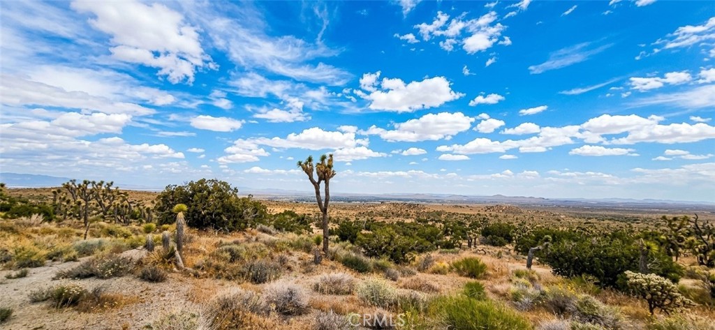 8900 Bainard Canyon Road Property Photo 6