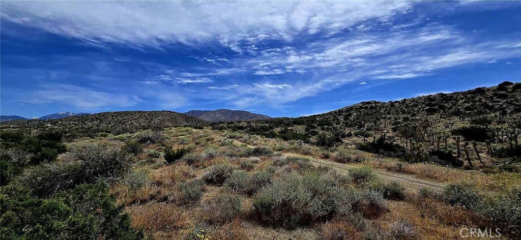 8900 Bainard Canyon Road Property Photo 7