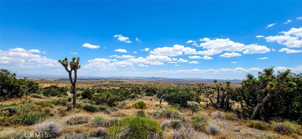 8900 Bainard Canyon Road Property Photo 7