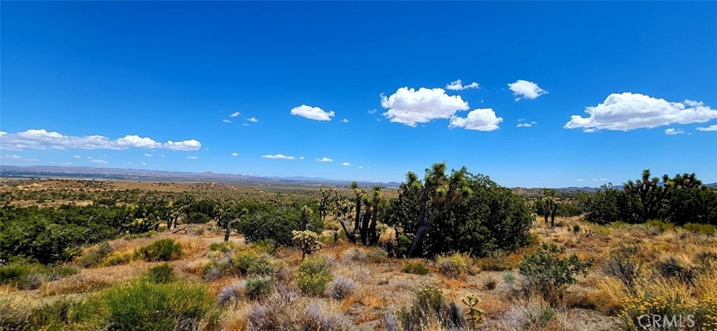 8900 Bainard Canyon Road Property Photo 8