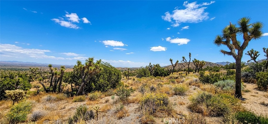 8900 Bainard Canyon Road Property Photo 9