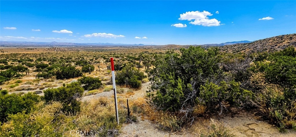 8900 Bainard Canyon Road Property Photo 11