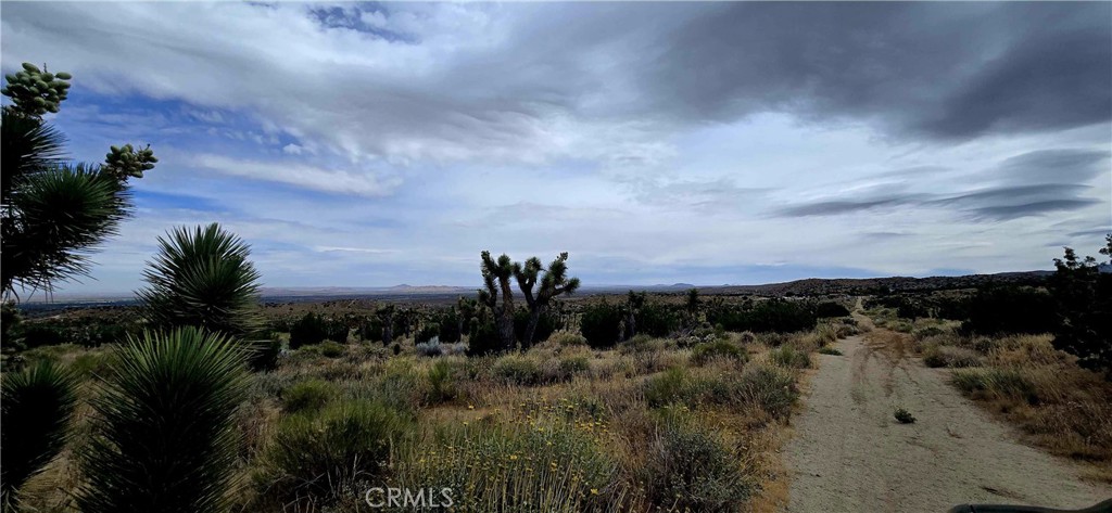 8900 Bainard Canyon Road Property Photo 12