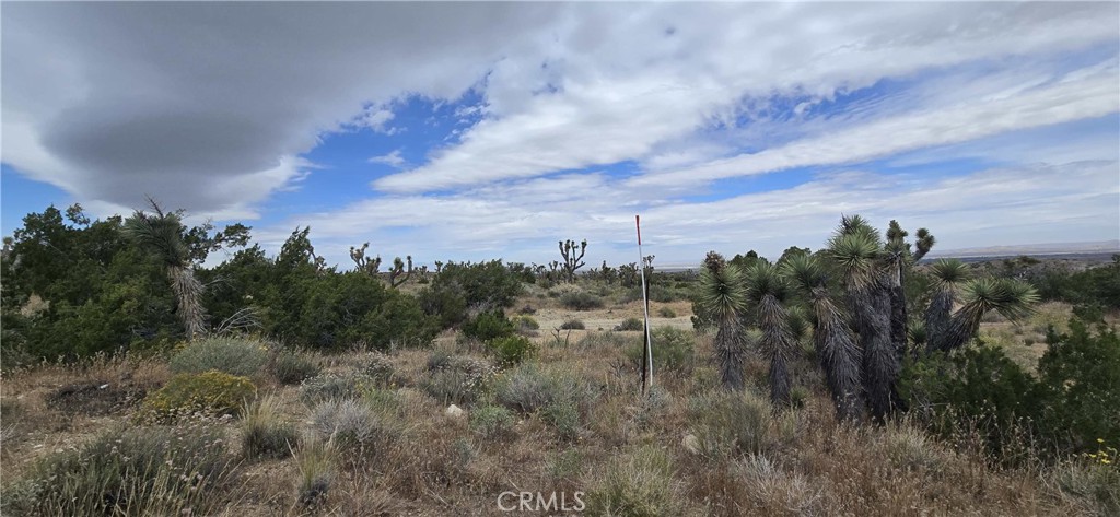 8900 Bainard Canyon Road Property Photo 14