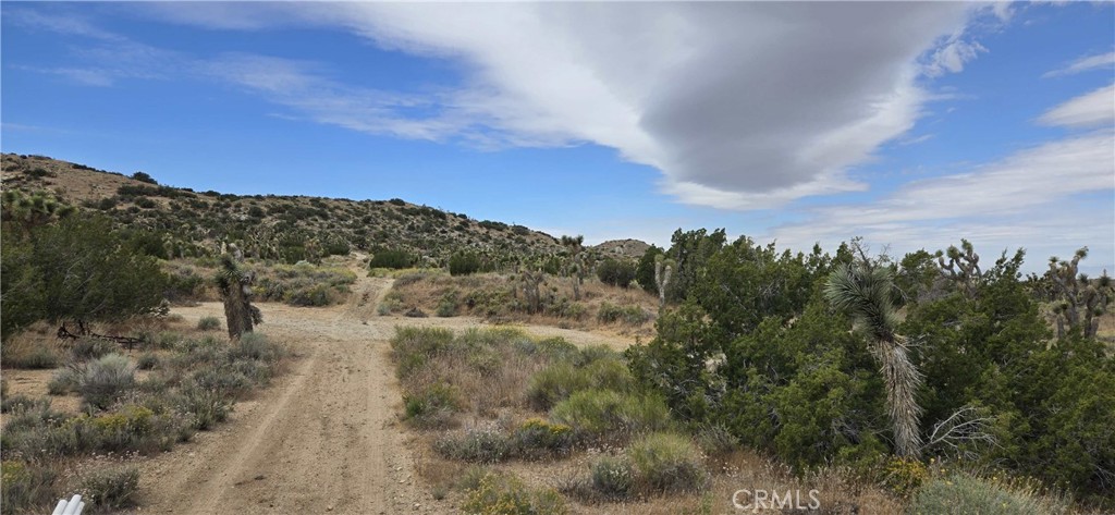8900 Bainard Canyon Road Property Photo 15