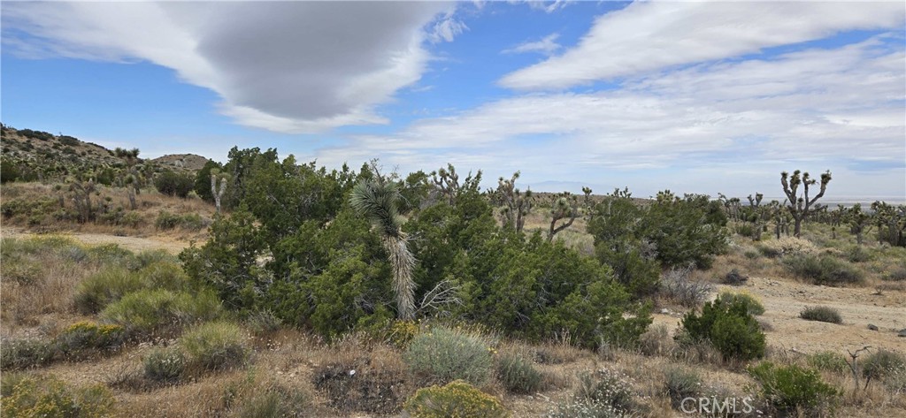 8900 Bainard Canyon Road Property Photo 16