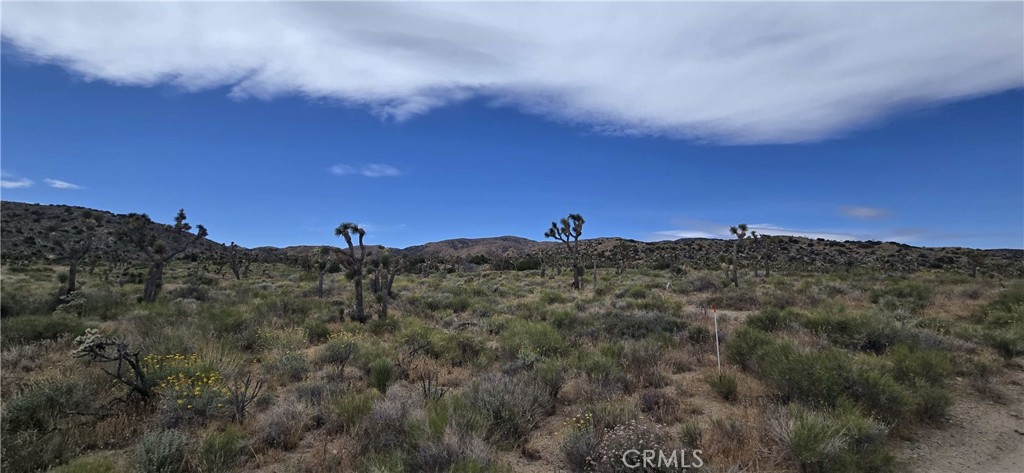 8900 Bainard Canyon Road Property Photo 17