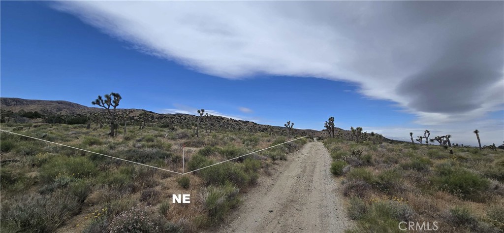 8900 Bainard Canyon Road Property Photo 19