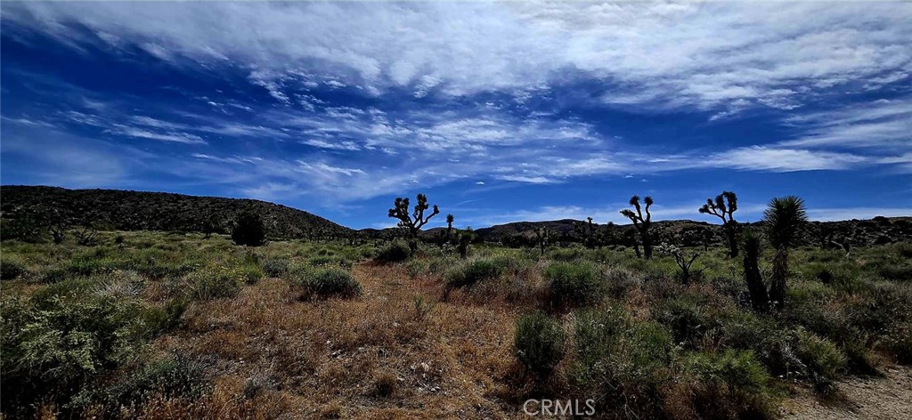 8900 Bainard Canyon Road Property Photo 21