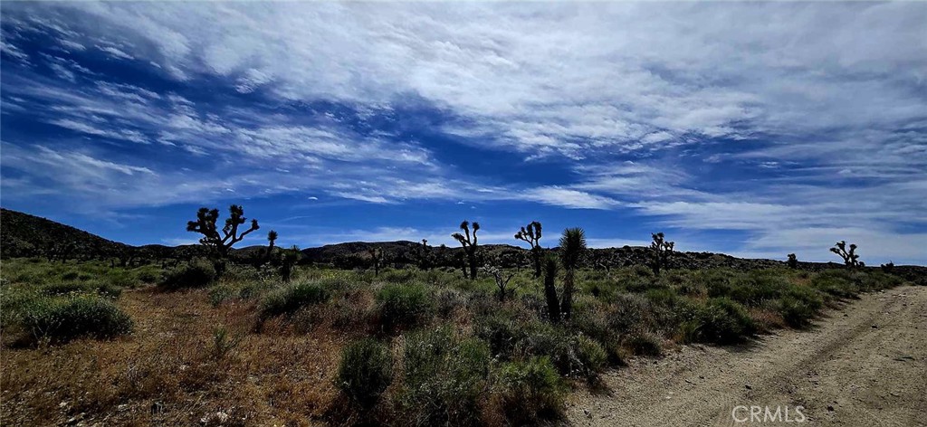 8900 Bainard Canyon Road Property Photo 22