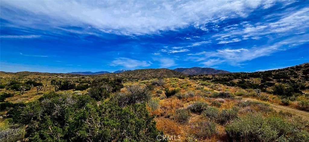 8900 Bainard Canyon Road Property Photo 26