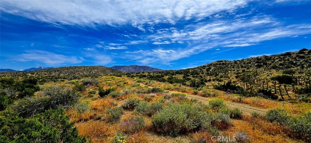 8900 Bainard Canyon Road Property Photo 27